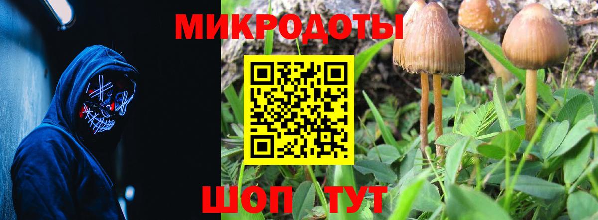 Псилоцибиновые грибы GOLDEN TEACHER  Вход с VPN  Котлас  купить  цена  Псилоцибиновые грибы Psilocybine cubensis 